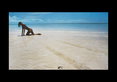Pirelli Calendar 1984: Shot by Uwe Ommer at the Bahamas Pirelli Calendar 1984: Shot by Uwe Ommer at the Bahamas
