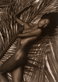 Pirelli Calendar 1994: Shot by Herb Ritts on Paradise Island Pirelli Calendar 1994: Shot by Herb Ritts on Paradise Island