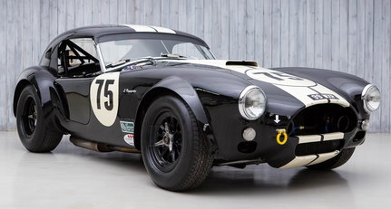 Gönnen Sie sich den Biss dieser makellosen Shelby Cobra 289
