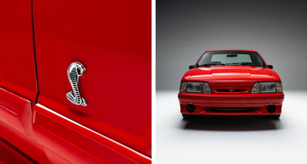 Würden Sie bei der Fahrt mit einem dieser Mustang SVT Cobra RS einen Schlangenbiss riskieren?