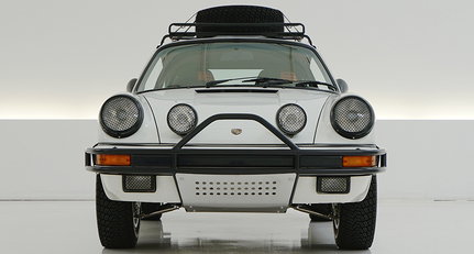 Forget Sebring; head to the Serengeti in this Porsche 911 instead