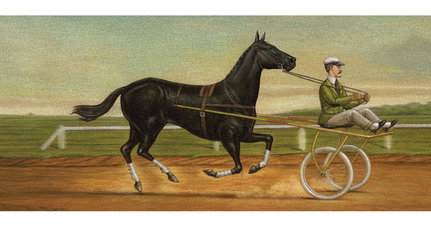 Porsche adverts show benefits of 'rear horsepower'