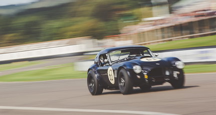 Die Reifen dieser Cobra sind noch warm vom Goodwood Revival