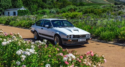 One of Alfa’s greatest homologation specials is hiding in South Africa