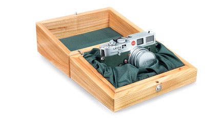 Capture cats in the wild with a commemorative Jaguar-Leica camera