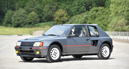 The Peugeot 205 T16 will make you feel like a Group B god