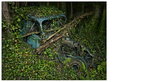 Peter Lippmann, Citroën Traction 7, 2012 From Paradise Parking series C-print, 75 × 100 cm Collection of the artist © Peter Lippmann Peter Lippmann, Citroën Traction 7, 2012 From Paradise Parking series C-print, 75 × 100 cm Collection of the artist © Peter Lippmann