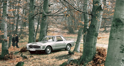 Snapshot, 1963: Da ist doch was im Busch!