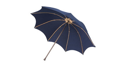 Singin' in the rain mit einem 8.000-Dollar-Schirm
