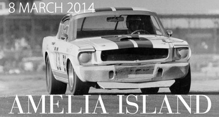 rm-amelia.jpg