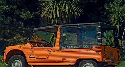 1975 Citroen Mehari 113.jpg