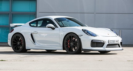 2015 Porsche Cayman GT4 9d2e96adb35039115ad19737dd4f1fba.jpeg