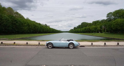 1967 Austin-Healey 3000 - MKIII 63.jpg