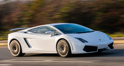 2014 Lamborghini Gallardo - 50th Anniversary d50_8941.jpg