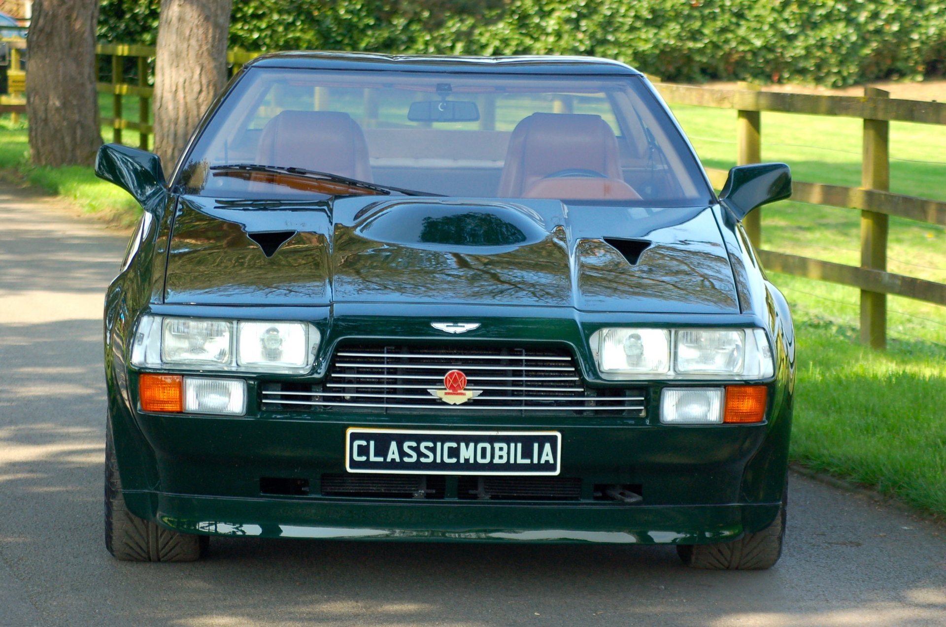 1987 Aston Martin V8 Zagato - Vantage Coupe, foto 4