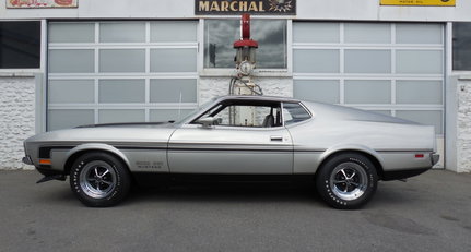 1971 Ford Mustang - Boss 351 dscn0246_1024x768.jpg