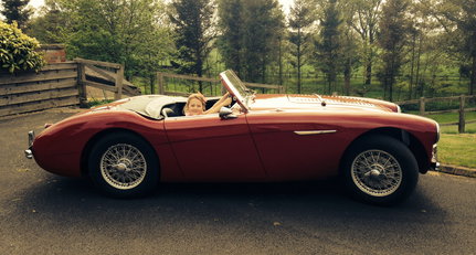 1955 Austin-Healey BN1 - 100/4 image.jpg