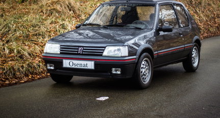1990 Peugeot 205 - GTI 1.6L img_3253.jpg