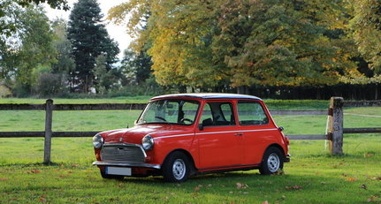 mini_1000_1.jpg