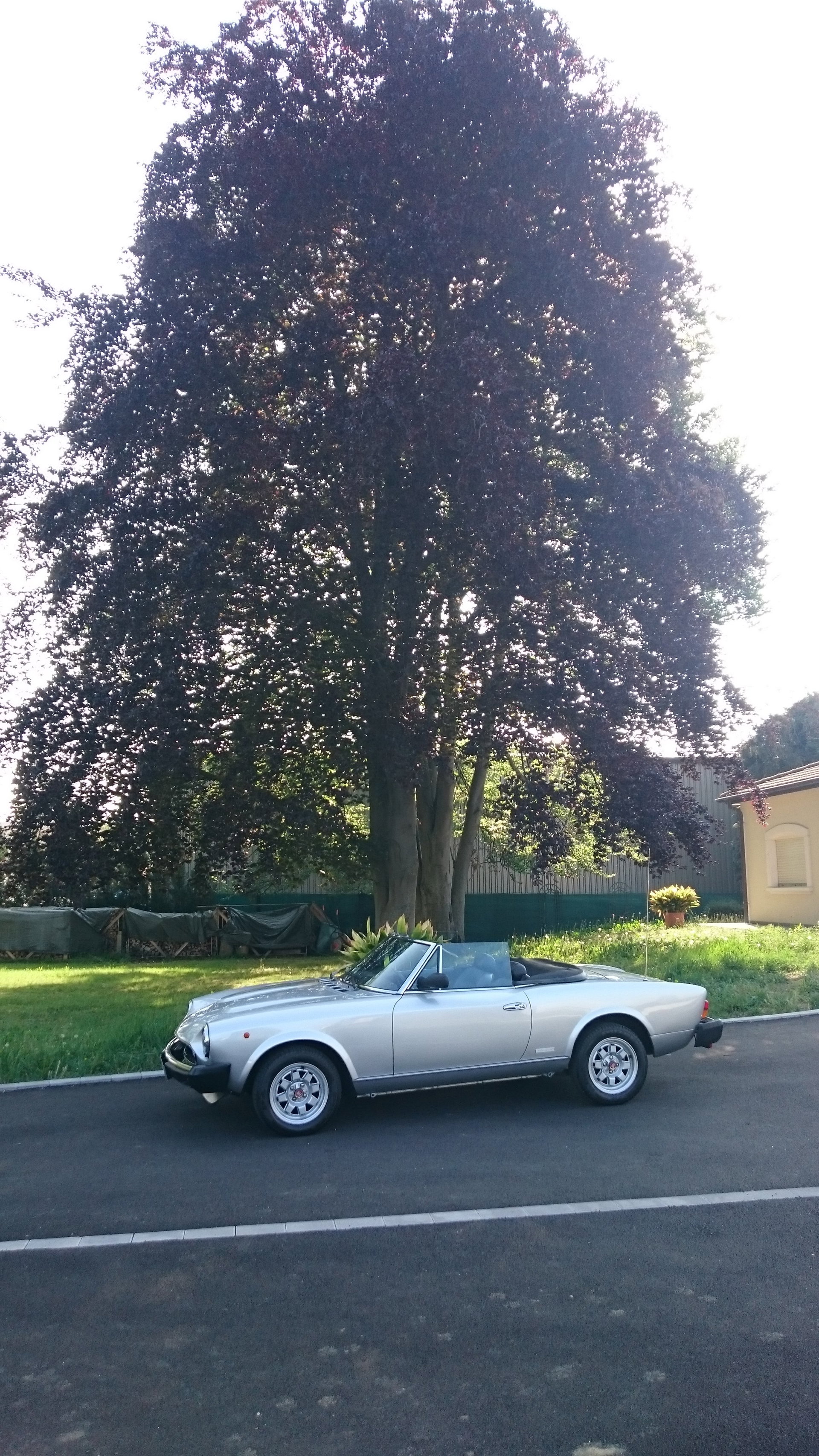 1982 Fiat Spider - PININFARINA, foto 9