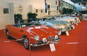 Vintage cars and motorcycles – Padua Exhibition Centre from 22nd to 23rd November 2003 Vintage cars and motorcycles – Padua Exhibition Centre from 22nd to 23rd November 2003