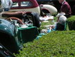 4. European Concours d.Elegance, Düsseldorf Gallop 2004 - Review 4. European Concours d.Elegance, Düsseldorf Gallop 2004 - Review