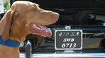 Concorso Ferrari - Los Angeles 2005 Concorso Ferrari - Los Angeles 2005