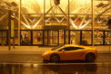 Lamborghini Gallardo Lamborghini Gallardo