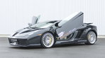 Hamann Gallardo – der Flügelerbe Hamann Gallardo – der Flügelerbe