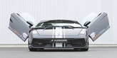 Hamann Gallardo – der Flügelerbe Hamann Gallardo – der Flügelerbe