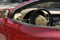 Concorso d'Eleganza Villa d'Este 2006: Schönheit siegt!
