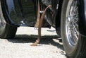 Concorso d'Eleganza Villa d'Este 2006: Schönheit siegt!