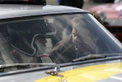 Jim Clark Revival 2006 – Fotogalerie