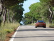 Porsche 911 Targa 4S (2)