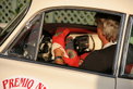 Gran Premio Nuvolari 2007 – Ein Rückblick