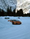 Lamborghini Winter-Academy: Lektion „Dynamik“ Lamborghini Winter-Academy: Lektion „Dynamik“
