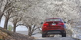 BMW X6 BMW X6