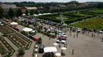 Retro Classics meets Barock 2008: Schönheiten im Schlosspark