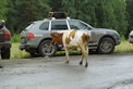 Rallye Transsyberia 2008