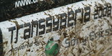 Rallye Transsyberia 2008