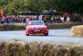 Hamburger Stadtpark-Revival 2008: Retrospektive