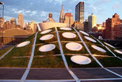Mini Rooftop NYC: Kreativer Dachgarten Mini Rooftop NYC: Kreativer Dachgarten