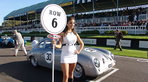Goodwood Revival Meeting 2008