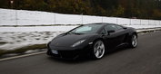 Lamborghini Gallardo LP 560-4 Roadshow Lamborghini Gallardo LP 560-4 Roadshow
