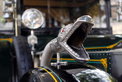 Cartier ‘Travel with Style’ Concours: Comeback in New Delhi Cartier ‘Travel with Style’ Concours: Comeback in New Delhi