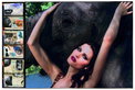 Pirelli Kalender „The Cal 2009“: Peter Beard und sieben Schönheiten