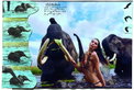 Pirelli Kalender „The Cal 2009“: Peter Beard und sieben Schönheiten