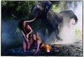 Pirelli Kalender „The Cal 2009“: Peter Beard und sieben Schönheiten