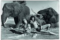 Pirelli Kalender „The Cal 2009“: Peter Beard und sieben Schönheiten