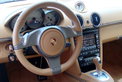 Porsche Cayman S (Modelljahr 2009) Porsche Cayman S (Modelljahr 2009)